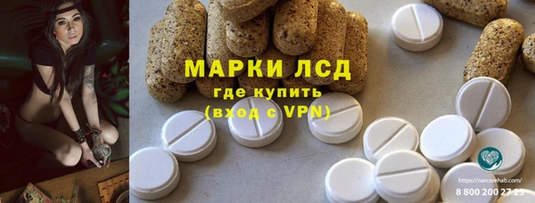 спайс Снежногорск